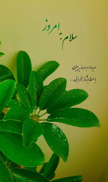 عکس نوشته صبح بخیر برای دوستان