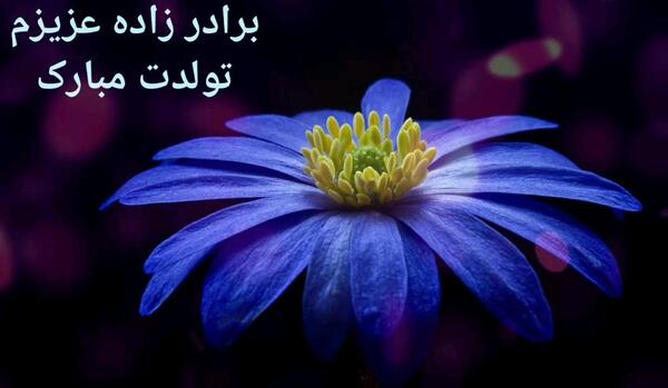 عکس نوشته تولدت مبارک برادر زاده عزیزم