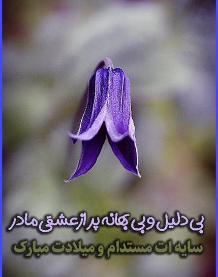 عکس نوشته زیبا برای تولد مادر