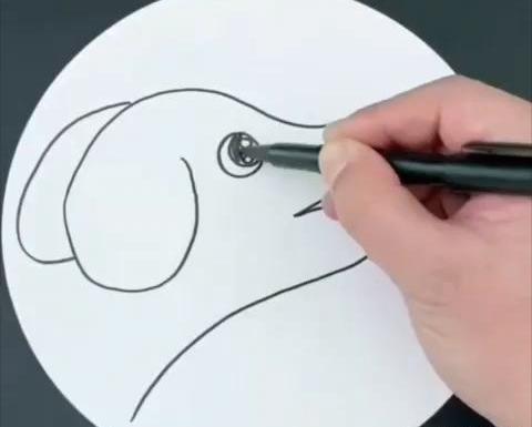 عکس نقاشی صورت سگ هاسکی