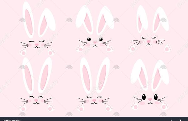 عکس نقاشی صورت خرگوش زیبا