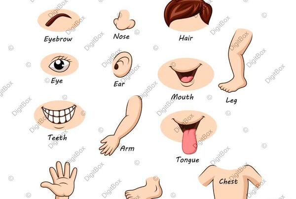 عکس نقاشی صورت انسان برای کلاس اول