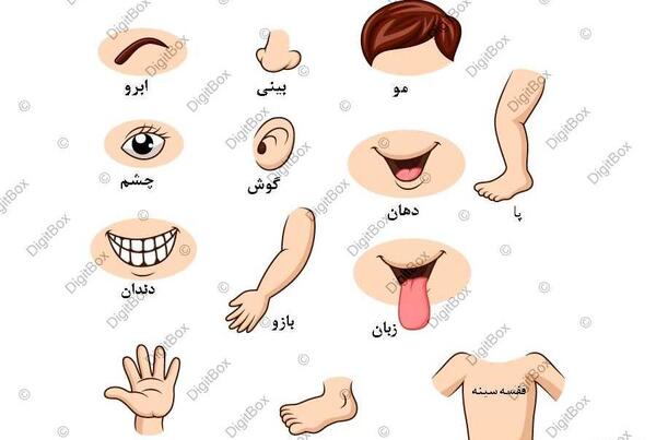 عکس نقاشی صورت انسان برای کودکان