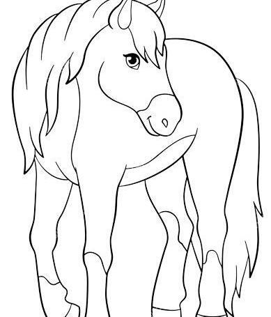 عکس نقاشی صورت اسب از روبرو