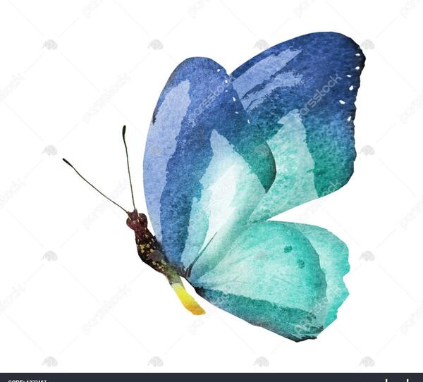 عکس نقاشی صورت با آبرنگ پروانه