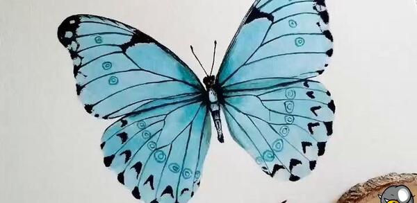 عکس نقاشی صورت با آبرنگ پروانه