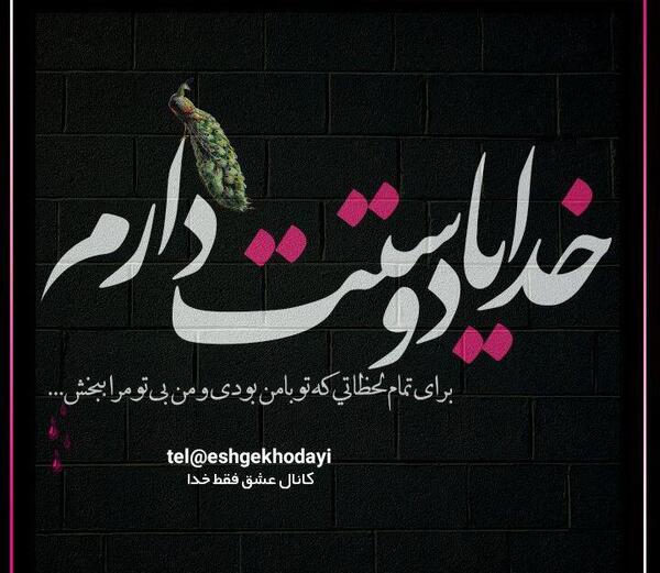 عکس نوشته خدایم ای پناه لحظه هایم