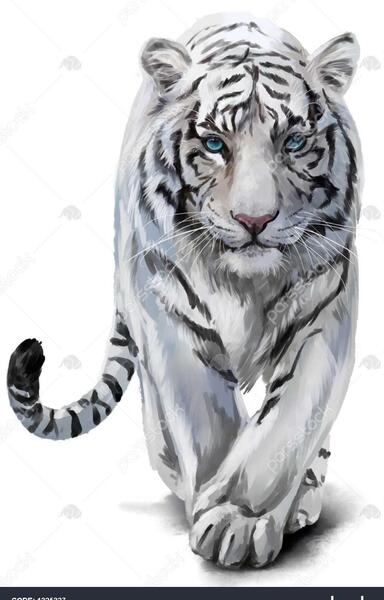 عکس نقاشی صورت ببر سخت