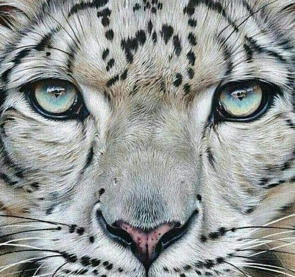 عکس نقاشی صورت پلنگی