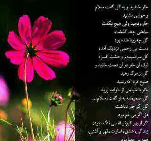 عکس نوشته ی صبح بخیر اول هفته