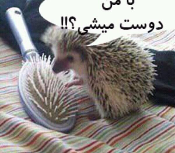 عکس نوشته های سنگین تیکه دار