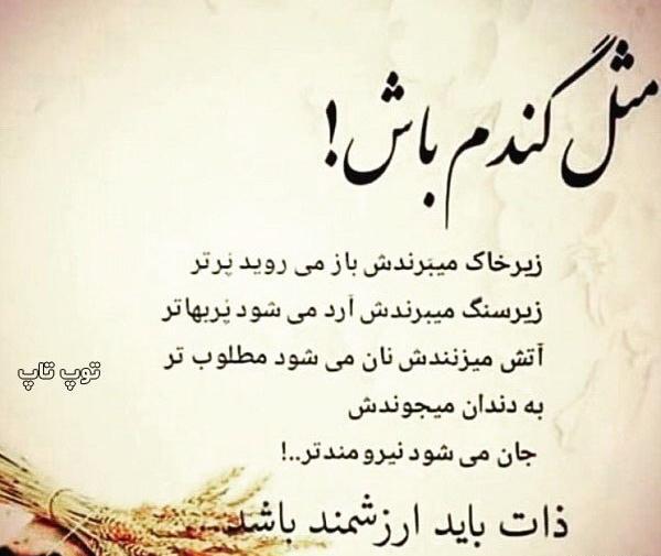 عکس نوشته آدمهای بد ذات