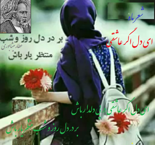 عکس نوشته ای دل اگر عاشقی در پی دلدار باش