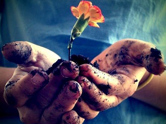 عکس نوشته منم سرگشته حیرانت ای دوست