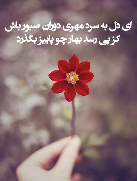 عکس نوشته با متن این نیز بگذرد
