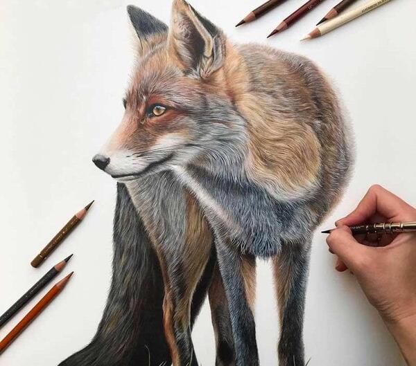 عکس نقاشی صورت مداد رنگی