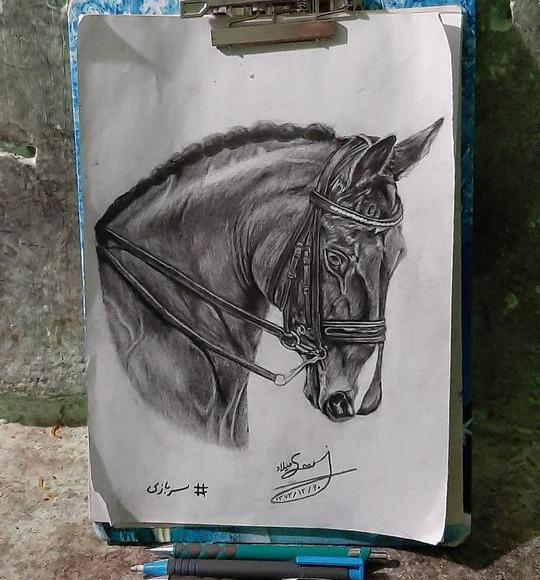 عکس نقاشی صورت اسب سیاه قلم