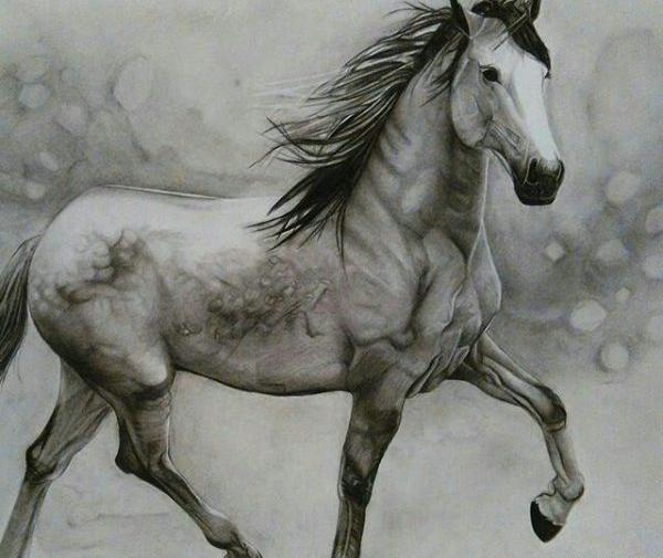 عکس نقاشی صورت اسب سیاه قلم
