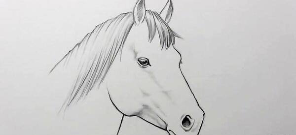 عکس نقاشی صورت اسب سیاه قلم