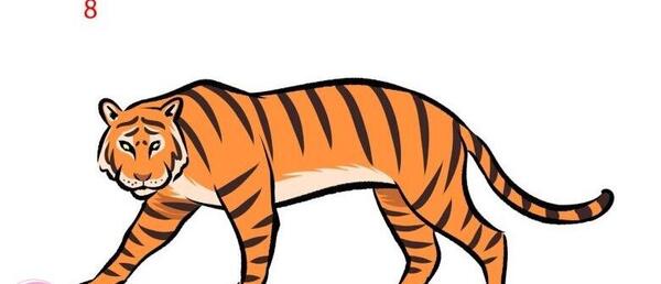 عکس نقاشی طراحی صورت ببر