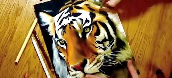 عکس نقاشی طراحی صورت ببر