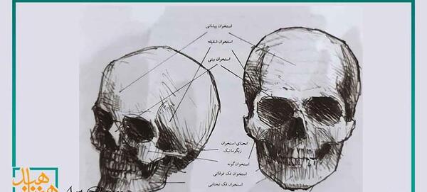عکس نقاشی طراحی صورت ببر