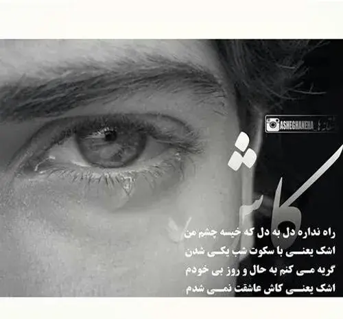 عکس نوشته ای کاش عاشقت نمیشدم