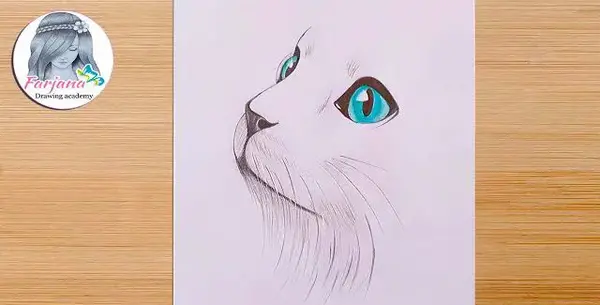عکس نقاشی صورت گربه سیاه قلم