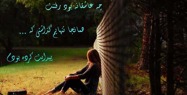عکس نوشته هنوزم نرخ قول ما از قسم خیلیا بیشتره