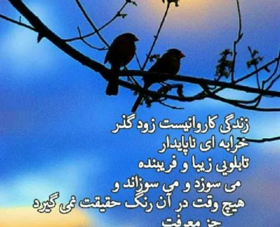 عکس نوشته اینم از اخرین بازدیدم