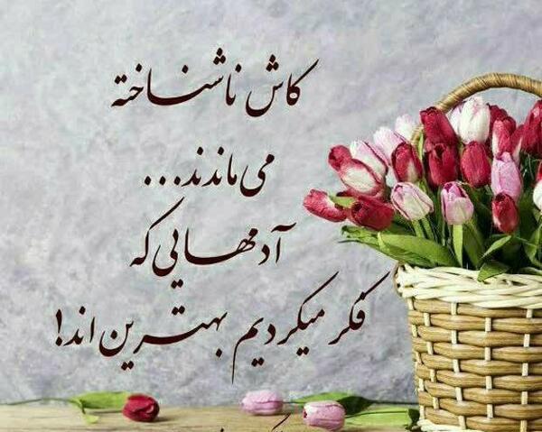 عکس نوشته اینم از اخرین بازدیدم