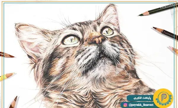 عکس نقاشی حرفه ای با مداد رنگی