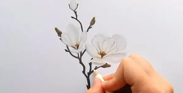 عکس نقاشی با مداد رنگی از گل