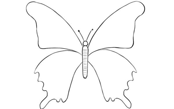 عکس نقاشی پروانه ساده