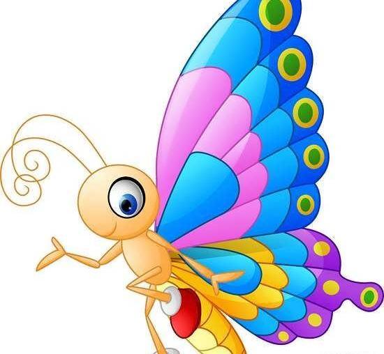 عکس نقاشی پروانه قشنگ