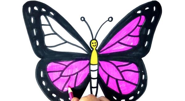عکس نقاشی پروانه برای کلاس اول