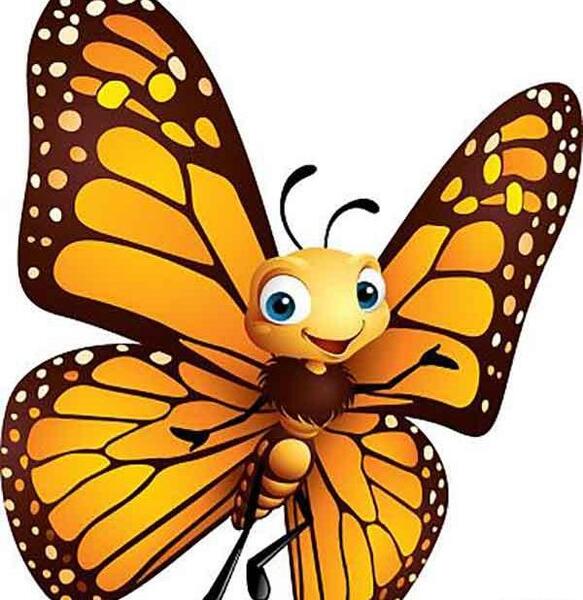 عکس نقاشی پروانه زیبا حرفه ای