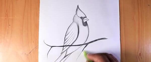 عکس نقاشی پرنده آسان