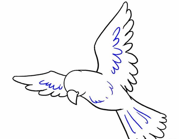 عکس نقاشی پرنده کودکانه