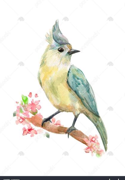 عکس نقاشی پرنده روی درخت