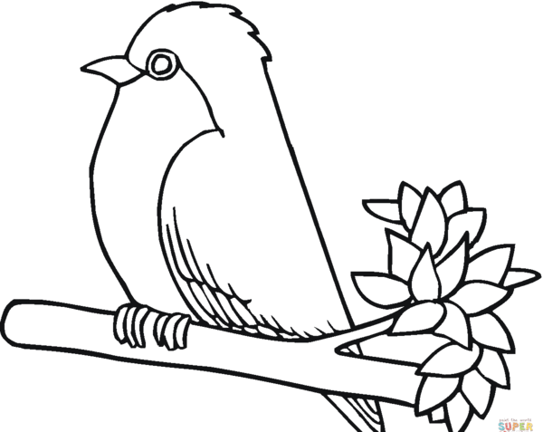 عکس نقاشی پرنده سخت