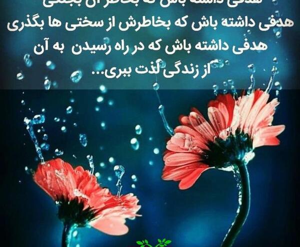 عکس نوشته از زندگیت لذت ببر