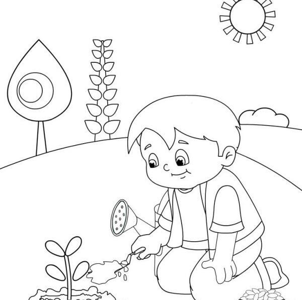 عکس نقاشی ثروت زمین خاک