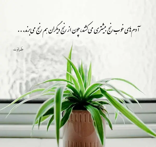 عکس نوشته آدم خوبای زندگی