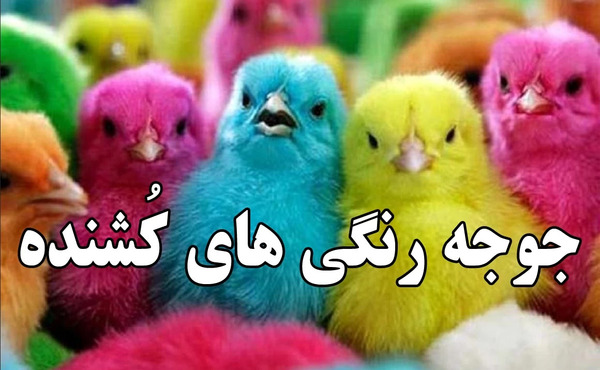 عکس نقاشی جوجه رنگی