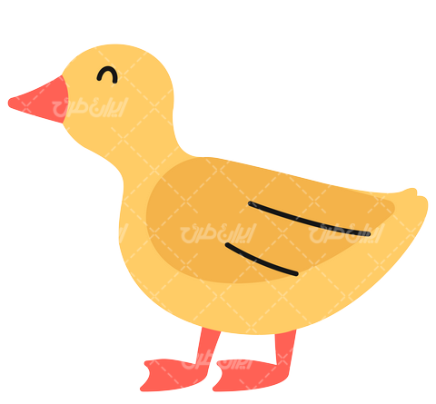 عکس نقاشی جوجه اردک