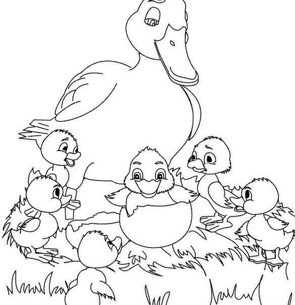 عکس نقاشی جوجه اردک