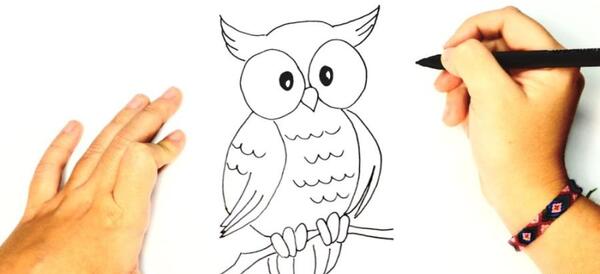 عکس نقاشی جغد ساده