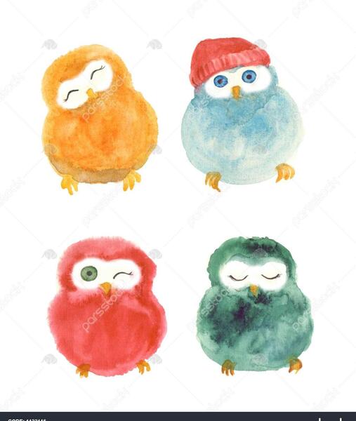 عکس نقاشی جغد زیبا