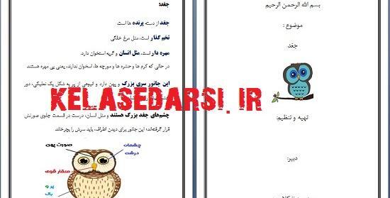عکس نقاشی جغد برای کلاس دوم